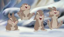 小兔子噜比奇遇记