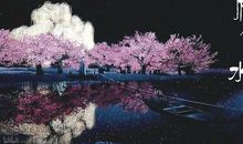 蓦然回首花落心头