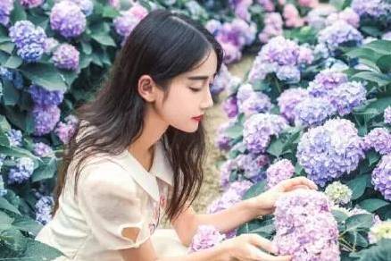 体育是我快乐的源泉