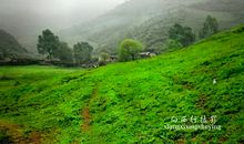 因为你，我爱上了家乡的味道