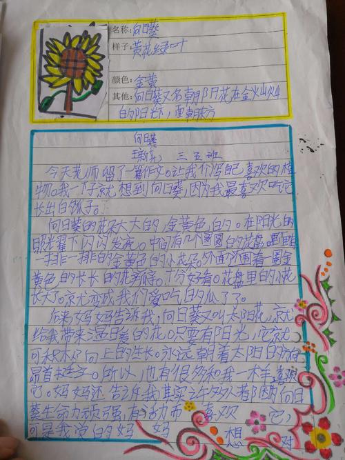 我的植物朋友玫瑰
