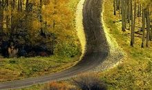 我爱美丽的深秋