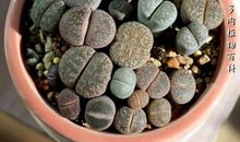 陪伴我最久的小天地