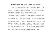 漫画假文盲观后感