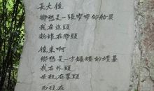 语文，你给我留下了什么