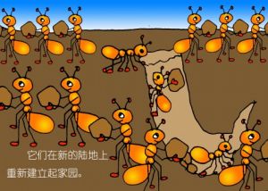 蚂蚁运动的奥秘