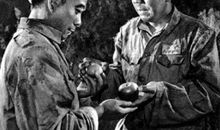 一个苹果的故事