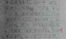 我学会了缝衣服作文