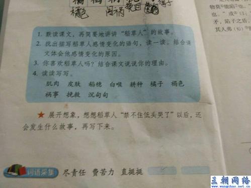 关于尽职调查的组成