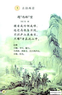 雾我会追你的