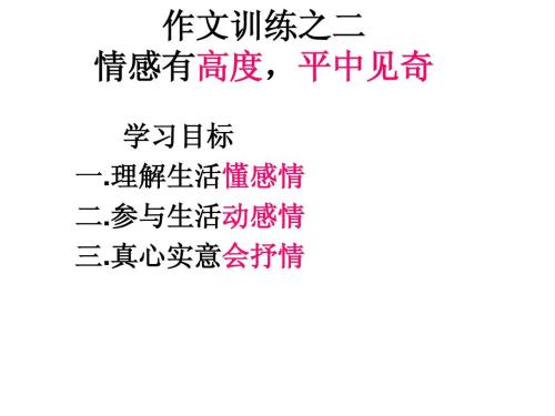 我心中最美的老师500句话