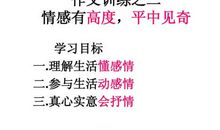 我心中最美的老师作文500字