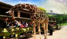 杭州野生动物园