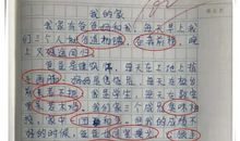 我有一个什么的家作文