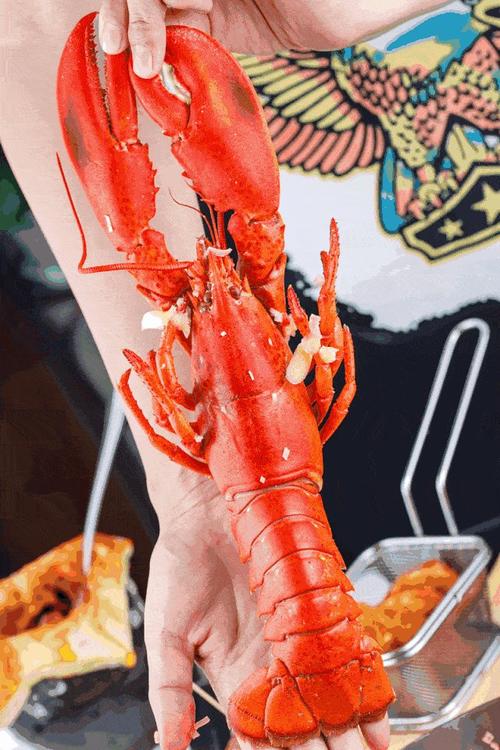 南方的风
