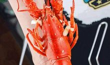 又肆起的江南风