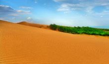 假如我是一粒沙