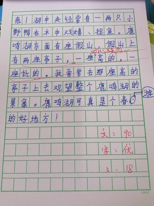 我的植物朋友组成