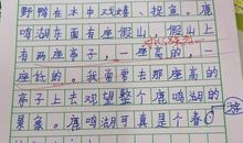 我的植物朋友作文