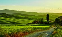 夏天的田园风光