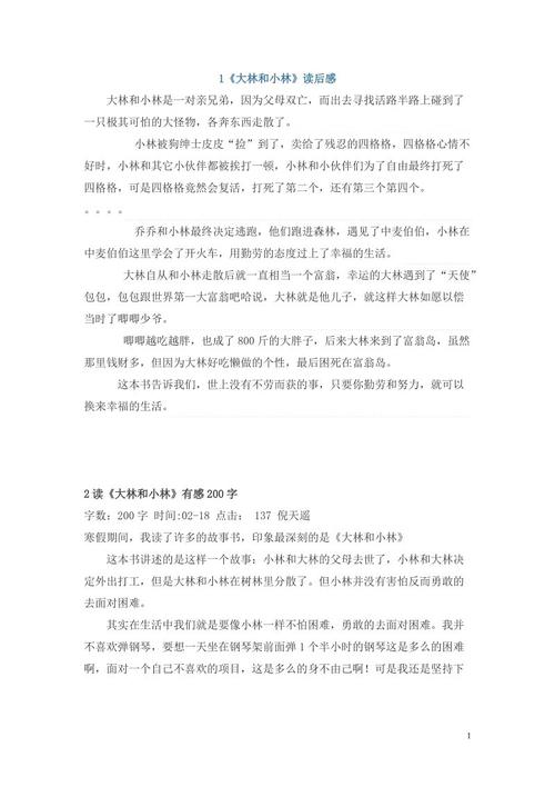 大林小林思想