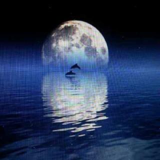 在月夜下失踪