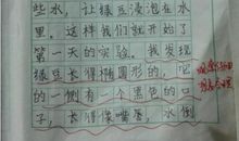 绿豆生长过程观察日记