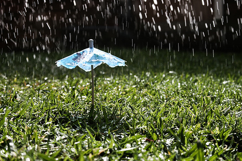 多雨的音乐