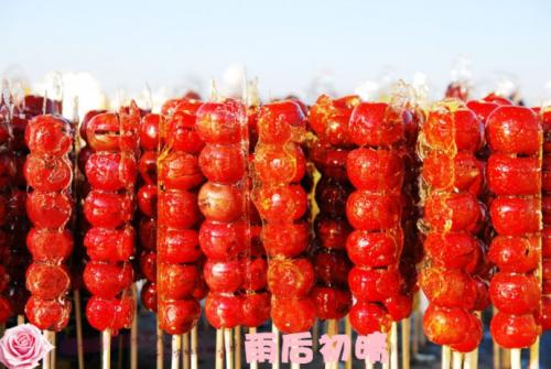 蜜饯山楂我的最爱