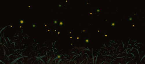 那11只萤火虫