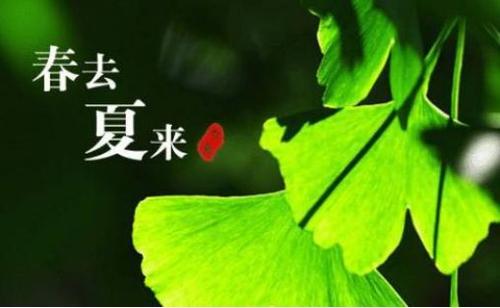 夏天开始