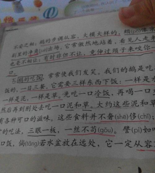 关于写大白鹅的组成