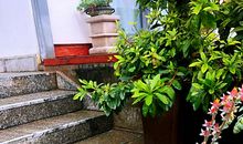 弯弯曲曲的人生