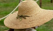 小白兔的草帽三年级作文