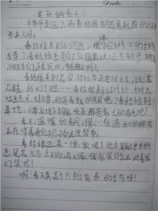 寻找春季作文300个单词