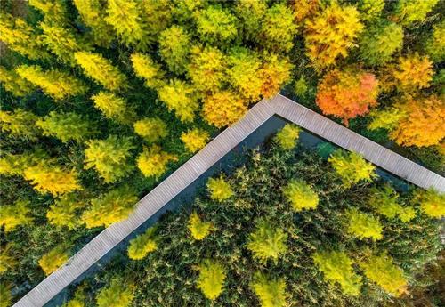 我今年秋天遇见你