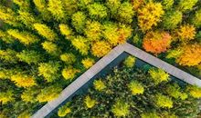 这个秋天我遇见了你