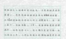 我的愿望作文300字