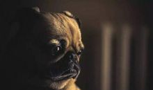 人活着该做一点有意义的事情