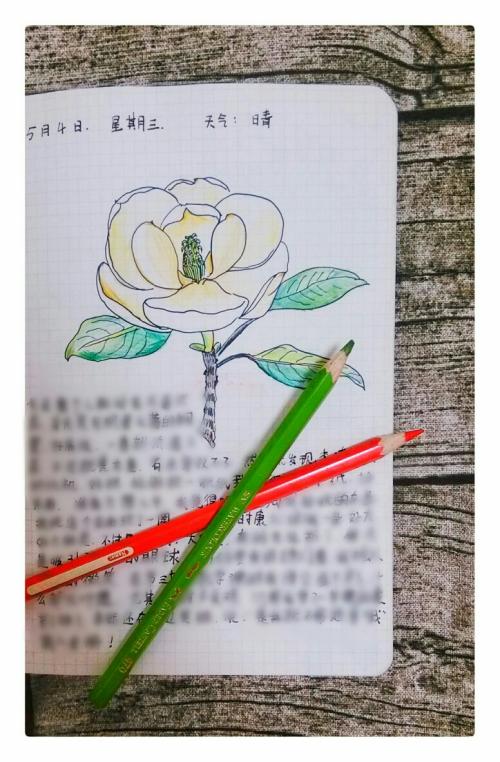 一场暴雨作文300字