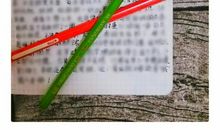 一场突如其来的暴雨作文300字