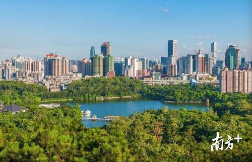 城市的美景