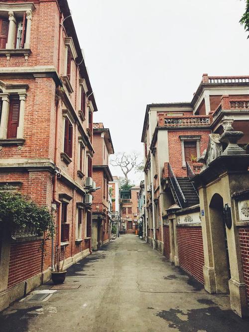 凝视在后面