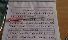 描写垂耳兔的作文