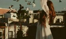 逆境更适合飞翔