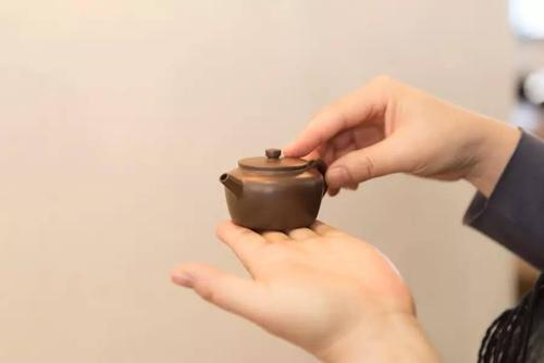 二十年后回家