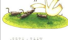 豆芽生长记日记三则