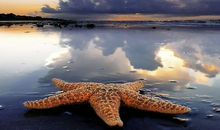 留给世界的中国印象