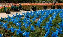 我爱家乡的植物园