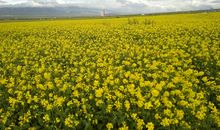 快乐的暑假之旅